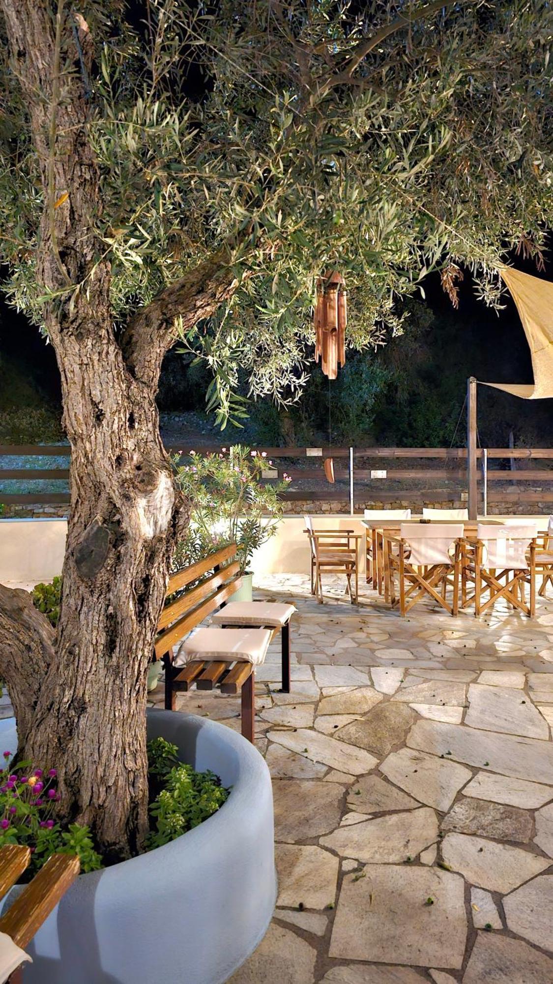 Pension Oasis Votsi  Екстериор снимка